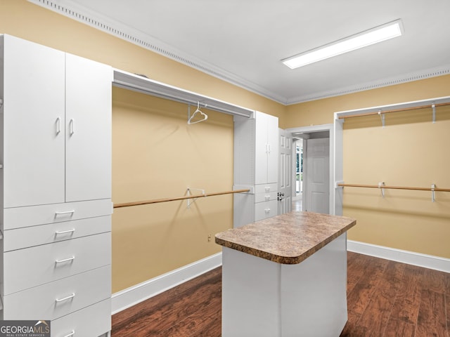 spacious closet with dark wood-style floors