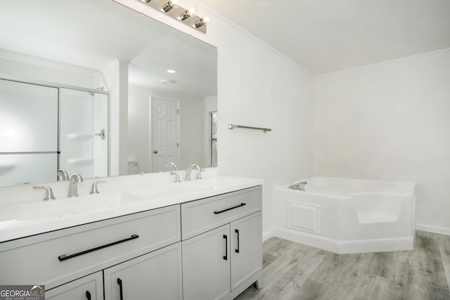 bathroom featuring crown molding, a sink, and wood finished floors