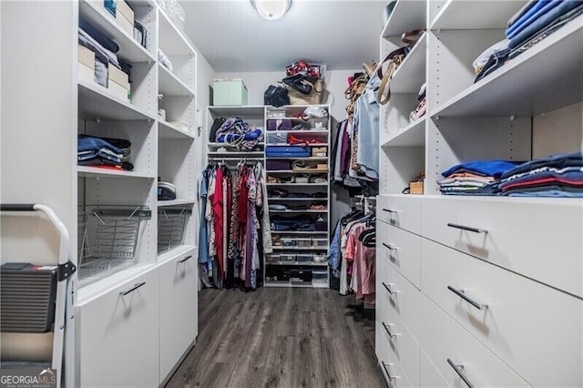 spacious closet with dark wood-style flooring