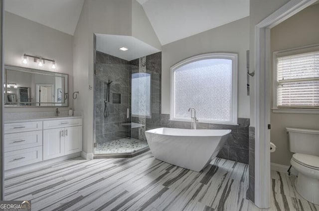 full bathroom featuring lofted ceiling, a shower stall, toilet, and vanity