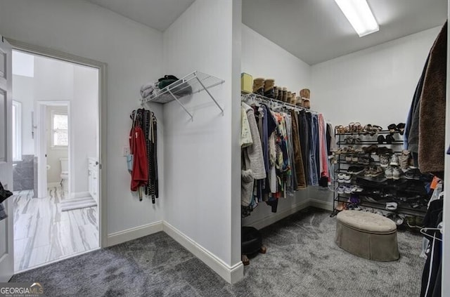 spacious closet with carpet flooring