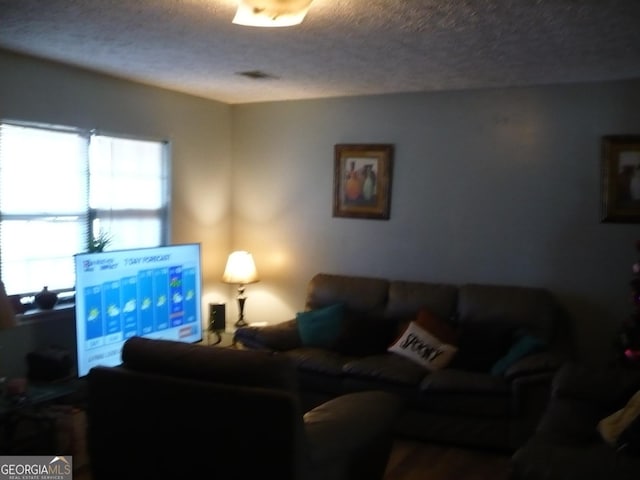 living area featuring a textured ceiling