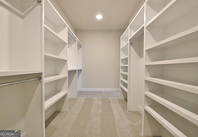 spacious closet with light carpet
