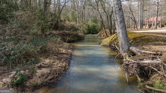 water view featuring a view of trees