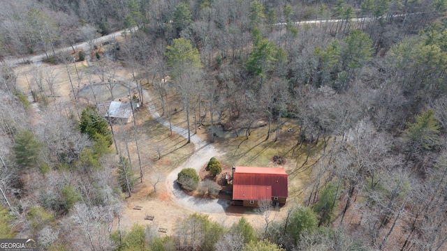 drone / aerial view
