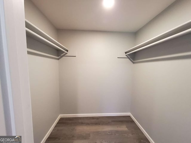 spacious closet with dark wood-style floors