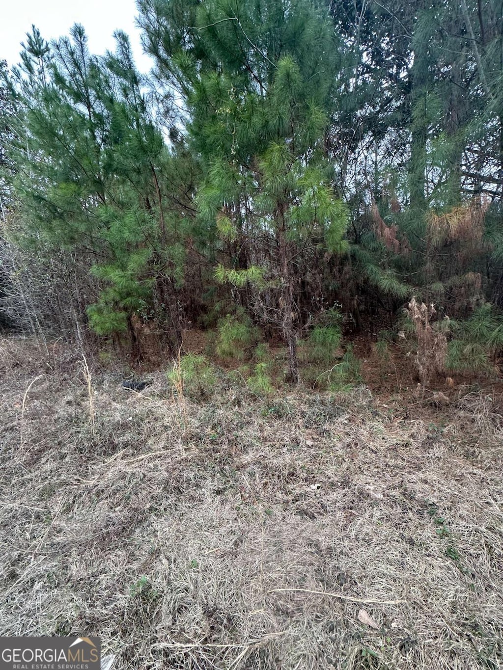 385 Shearwood Rd, Guyton, GA 31312