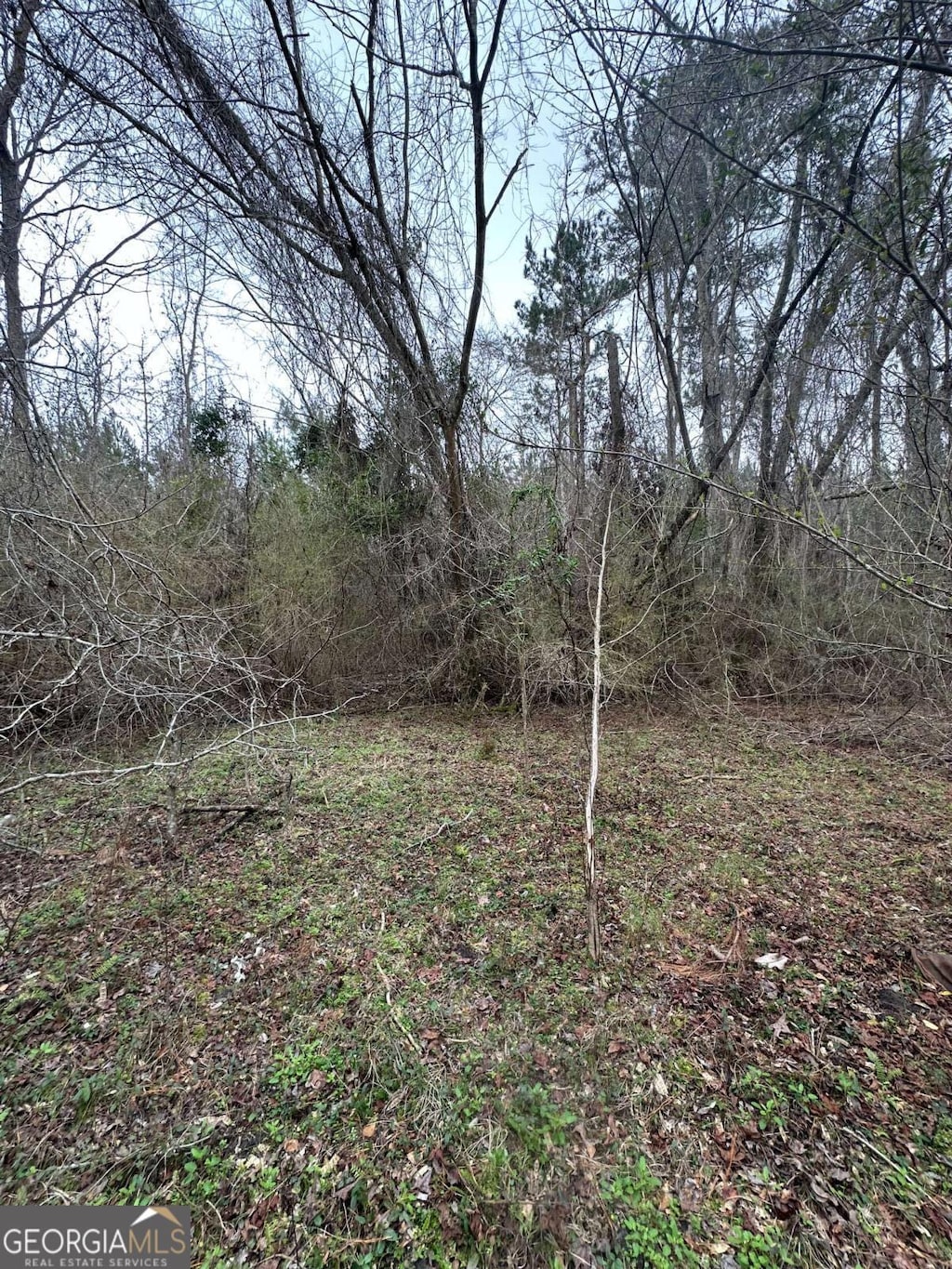385 Shearwood Rd, Guyton, GA 31312