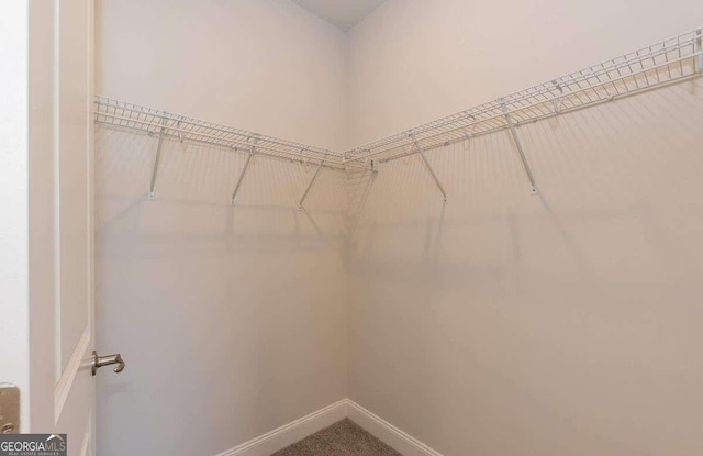 walk in closet featuring carpet