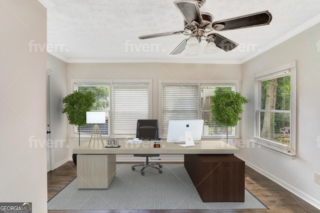 office with baseboards, a ceiling fan, dark wood-type flooring, and crown molding