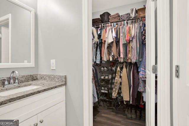 spacious closet featuring a sink and wood finished floors