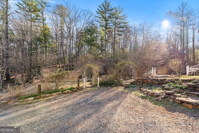 3360 Turniptown Rd, Ellijay, GA 30536 - view of yard
