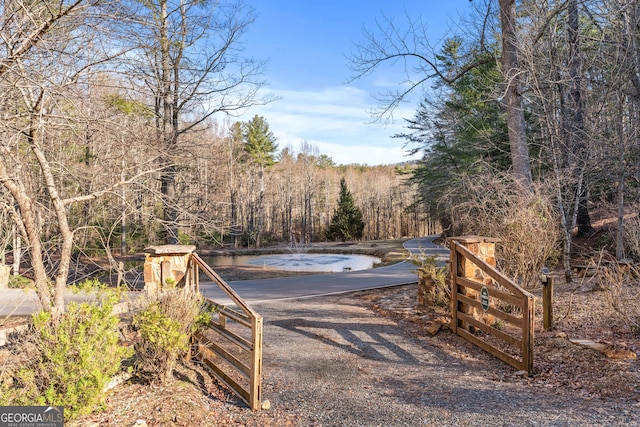 3360 Turniptown Rd, Ellijay, GA 30536 - view of yard with a view of trees