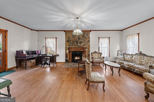 3360 Turniptown Rd, Ellijay, GA 30536 - living room featuring ornamental molding, a stone fireplace, and light wood-style flooring
