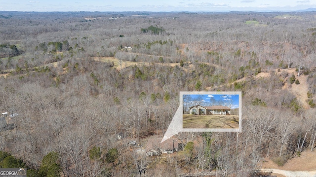 bird's eye view featuring a view of trees