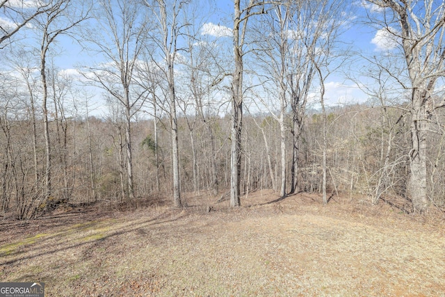 view of nature featuring a wooded view