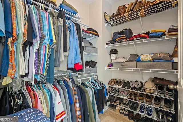 walk in closet with carpet