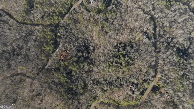 0 Harris Creek Dr, Lot Ellijay GA, 30540 land for sale