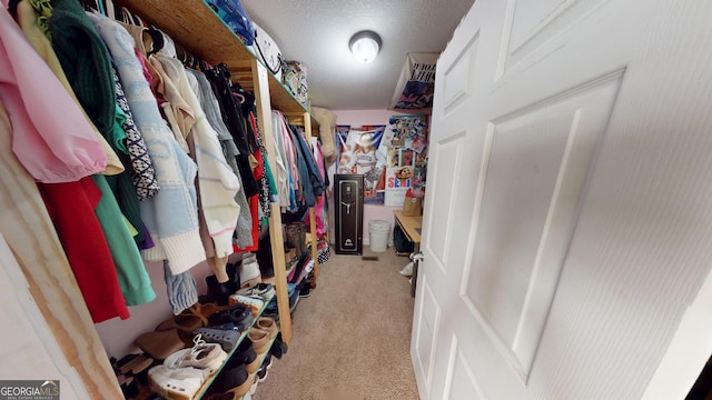 walk in closet with light colored carpet