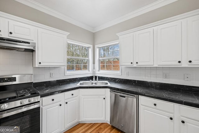 kitchen featuring under cabinet range hood, white cabinetry, stainless steel appliances, and a sink