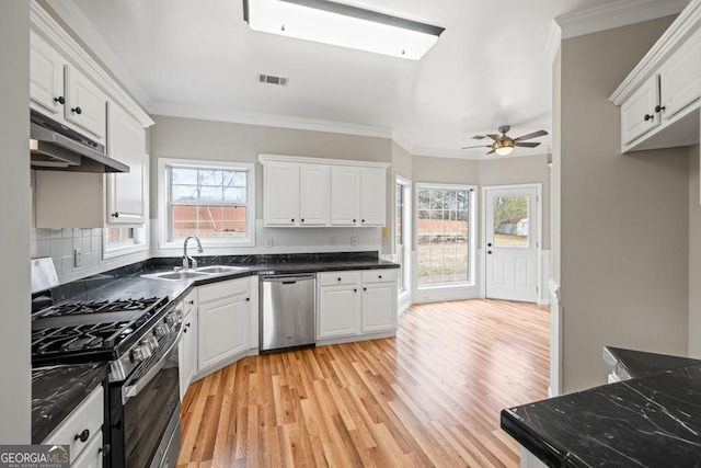 kitchen featuring under cabinet range hood, stainless steel appliances, a sink, visible vents, and ornamental molding