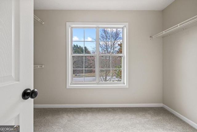 walk in closet with carpet