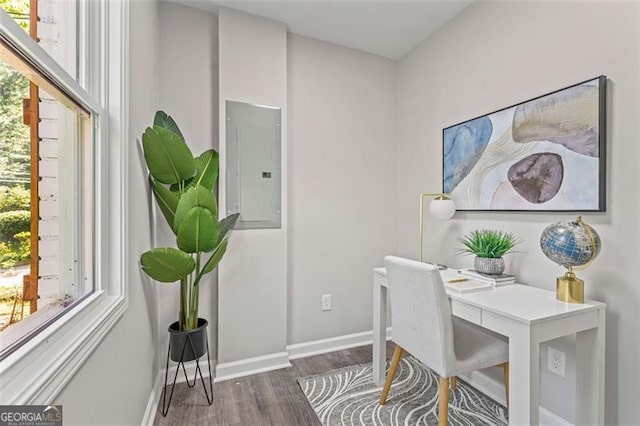 office featuring dark wood-style flooring, electric panel, and baseboards