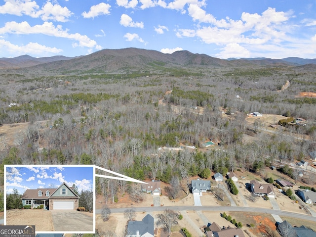 birds eye view of property featuring a mountain view