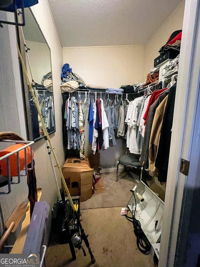 view of walk in closet