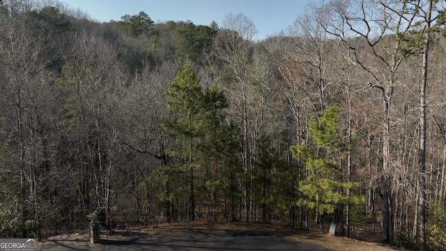 Listing photo 3 for 00 Tumbling Waters Ln # 102, Ellijay GA 30540