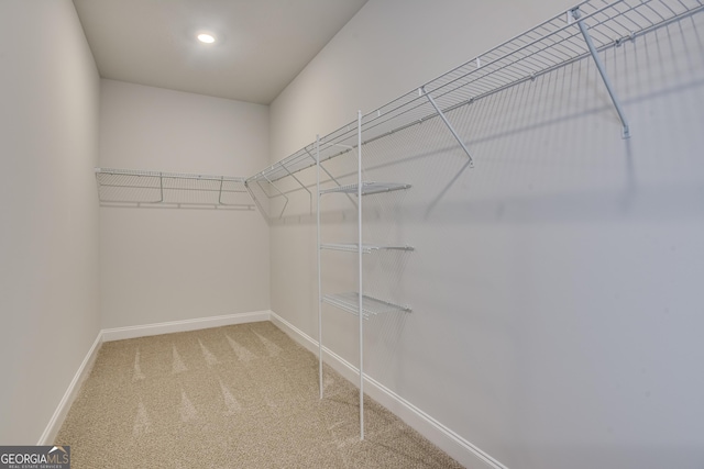 spacious closet with carpet floors