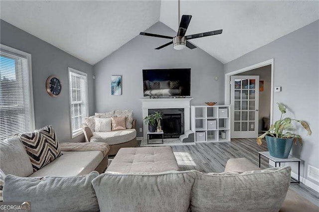 living area featuring a fireplace, vaulted ceiling, a wealth of natural light, and wood finished floors