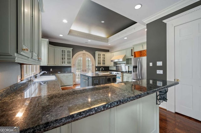 kitchen with a tray ceiling, appliances with stainless steel finishes, glass insert cabinets, a kitchen island, and a peninsula