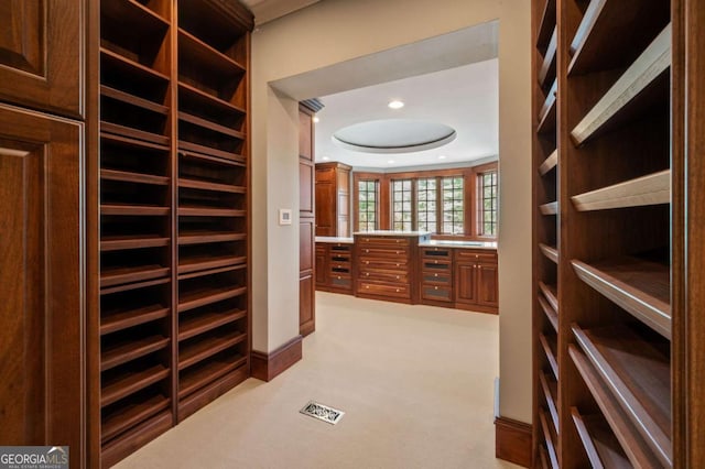 walk in closet featuring light carpet and a raised ceiling