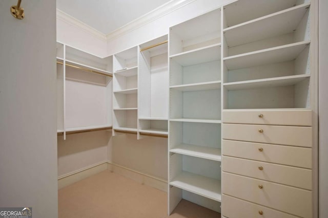 spacious closet with carpet flooring