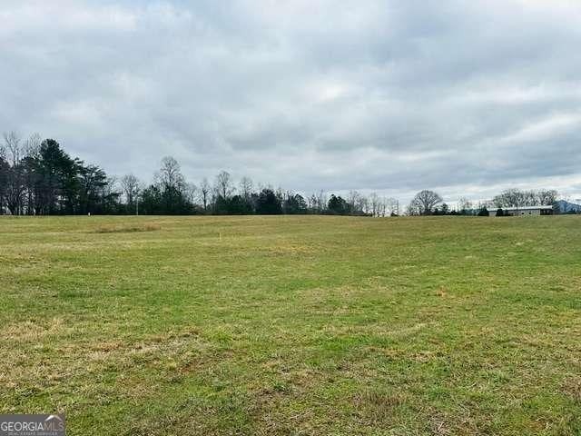 Listing photo 3 for 0 Bryant Rd, Ranger GA 30734