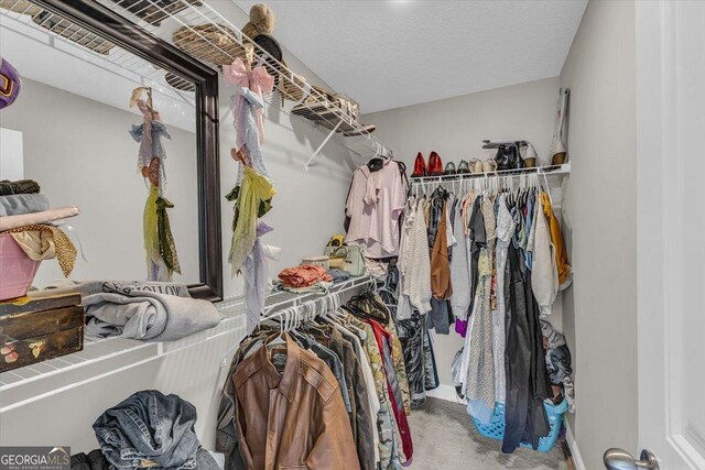 732 Waterlily Ct, Hinesville, GA 31313 - spacious closet with carpet floors