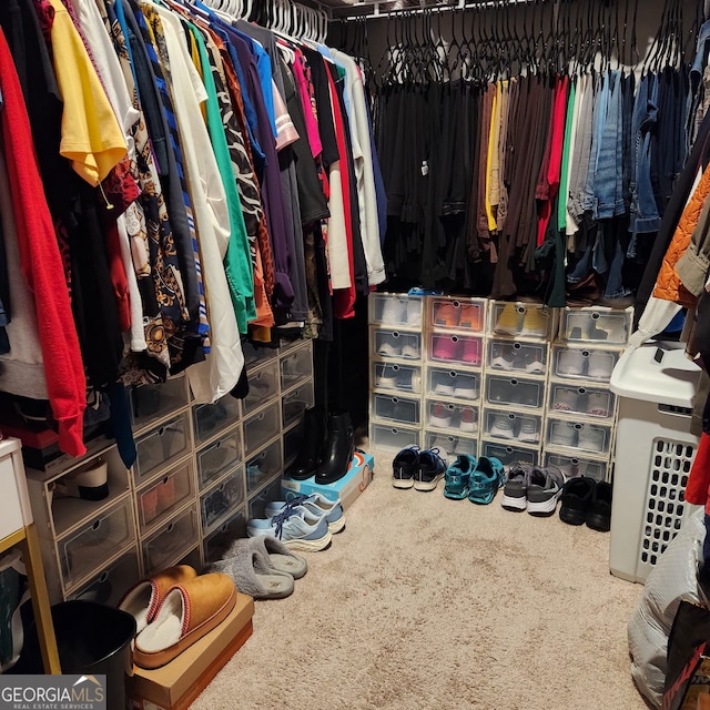 view of spacious closet