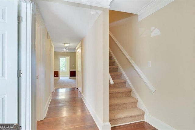 staircase featuring wood finished floors and baseboards