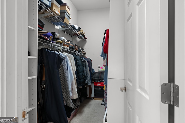 spacious closet with carpet