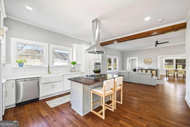 kitchen featuring island range hood, white cabinets, open floor plan, stainless steel appliances, and wooden counters