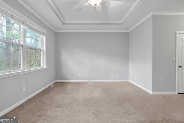 empty room with carpet, a tray ceiling, baseboards, and ornamental molding