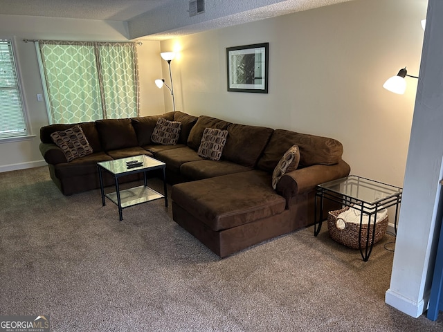 living area with carpet, a textured ceiling, visible vents, and baseboards