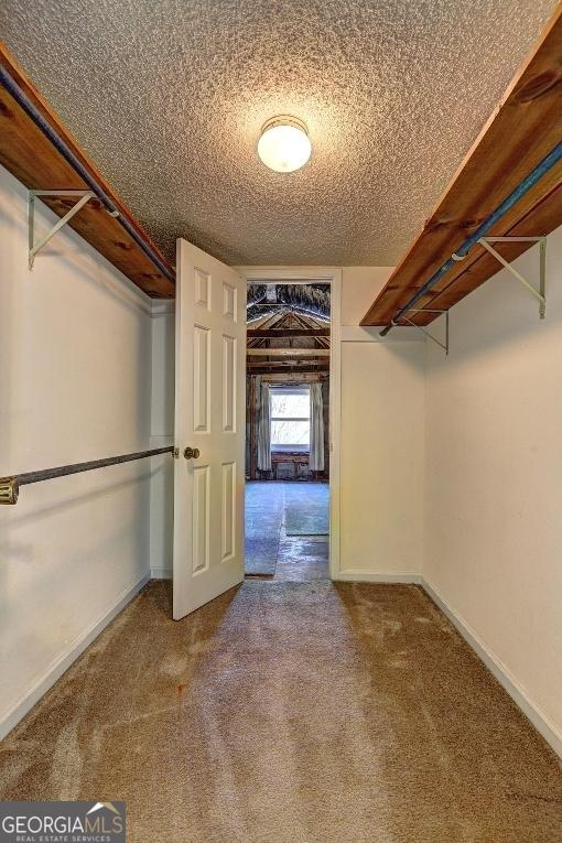 spacious closet with carpet flooring