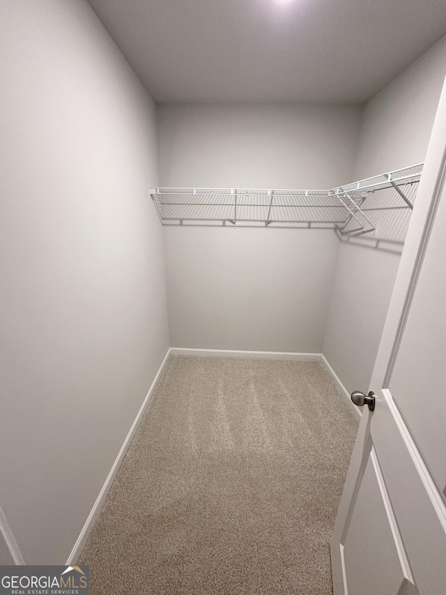 walk in closet with carpet