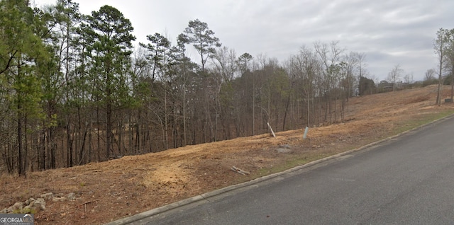 Listing photo 3 for 45 Mountain Crest Dr SW, Rome GA 30165