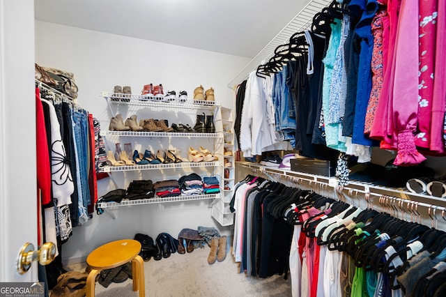 spacious closet featuring carpet flooring