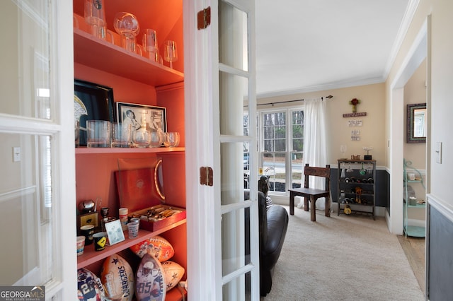 interior space featuring carpet and crown molding