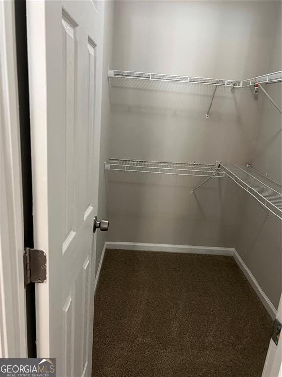 spacious closet featuring carpet