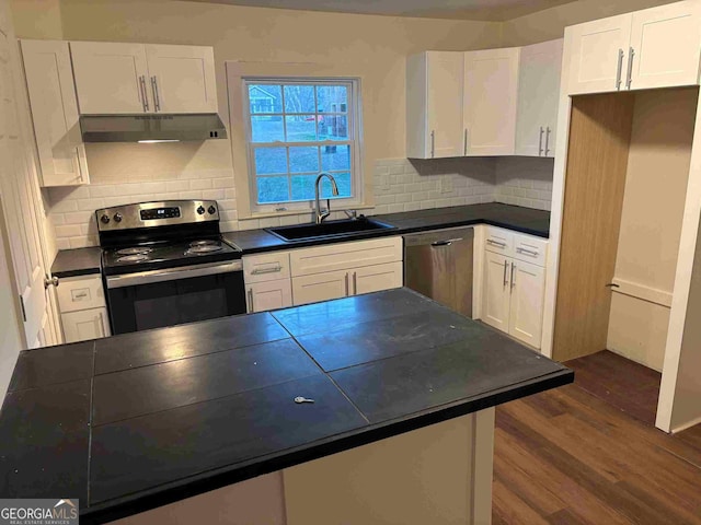 kitchen featuring dark countertops, under cabinet range hood, stainless steel appliances, and a sink